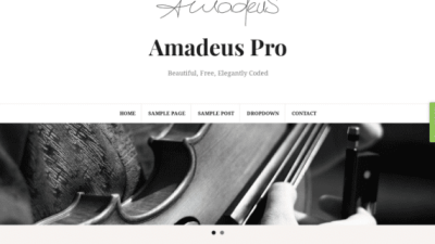 ThemeIsle Amadeus Pro WordPress Theme 破解版下载