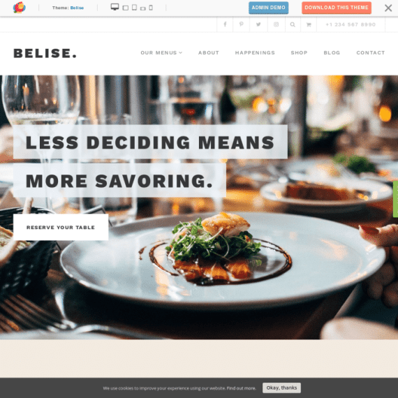ThemeIsle Belise WordPress Theme 破解版下载