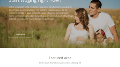 ThemeIsle Woga WordPress Theme 破解版下载