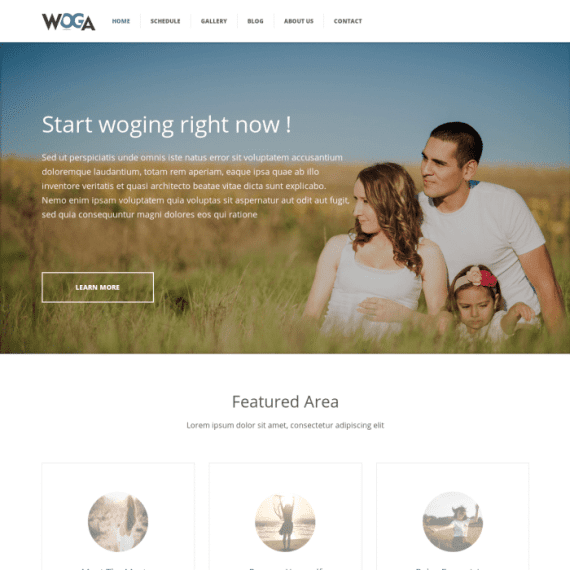ThemeIsle Woga WordPress Theme 破解版下载