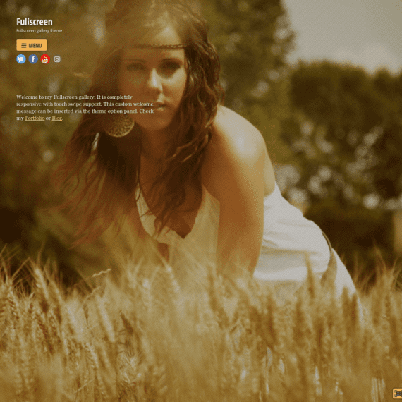 Themify Fullscreen WordPress Theme 破解版下载