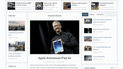 WPZoom Alpha WordPress Theme 破解版下载