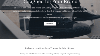 WPZoom Balance WordPress Theme 破解版下载