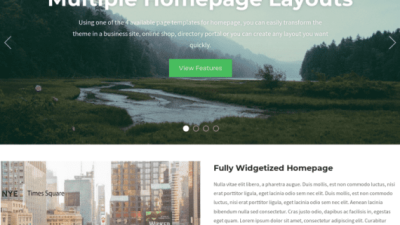WPZoom Diamond WordPress Theme 破解版下载