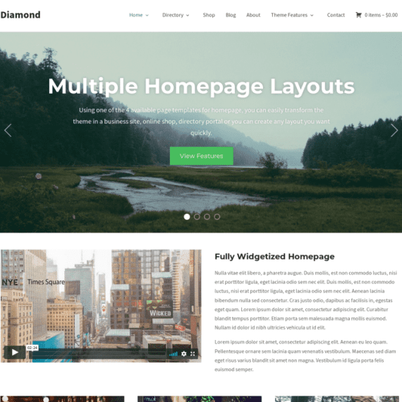 WPZoom Diamond WordPress Theme 破解版下载
