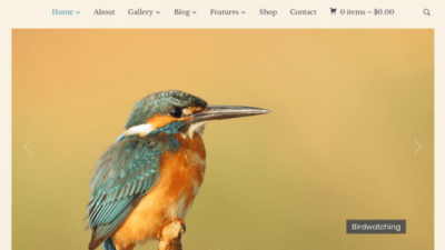 WPZoom Eclipse WordPress Theme 破解版下载