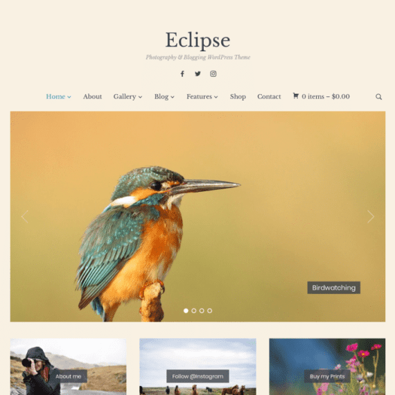 WPZoom Eclipse WordPress Theme 破解版下载