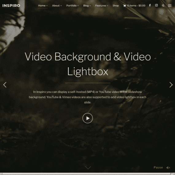 WPZoom Inspiro WordPress Theme 破解版下载