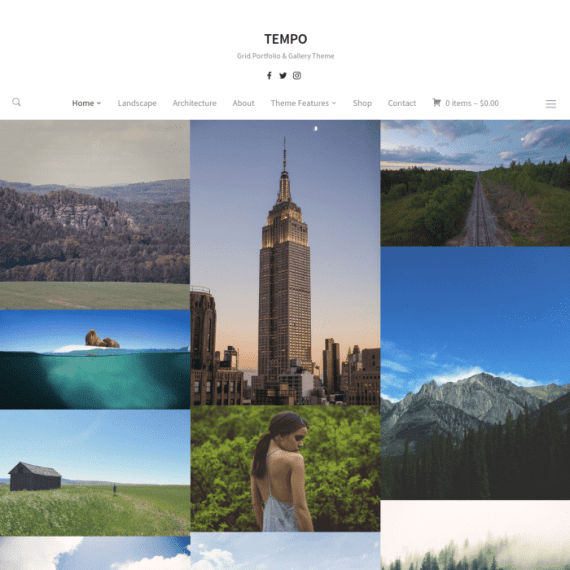 WPZoom Tempo WordPress Theme 破解版下载