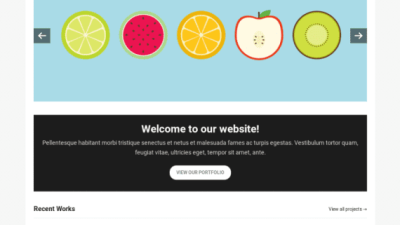 WPZoom Vimes WordPress Theme 破解版下载