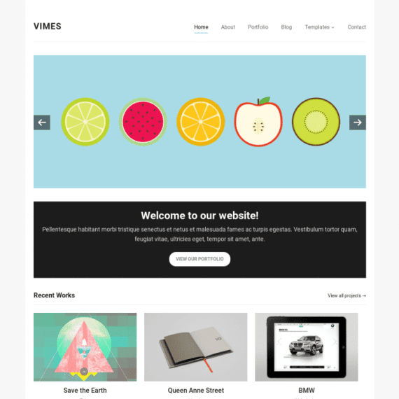 WPZoom Vimes WordPress Theme 破解版下载