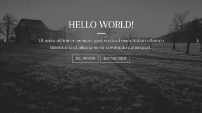 ZigZagPress Awaken Genesis Child WordPress Theme 破解版下载