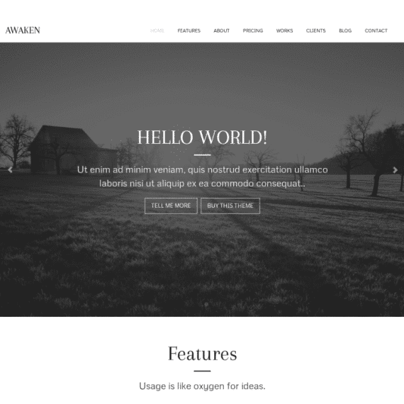 ZigZagPress Awaken Genesis Child WordPress Theme 破解版下载