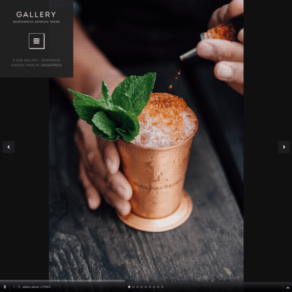 ZigZagPress Gallery Genesis Child WordPress Theme 破解版下载