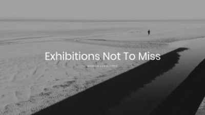 ZigZagPress Minimalis Genesis Child WordPress Theme 破解版下载