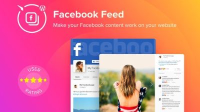 Elfsight Facebook Feed破解版下载