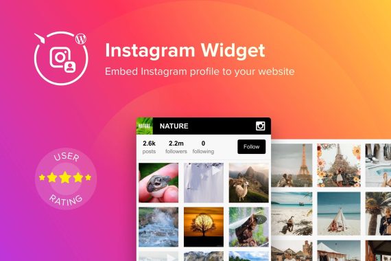 Elfsight Instagram Widget破解版下载