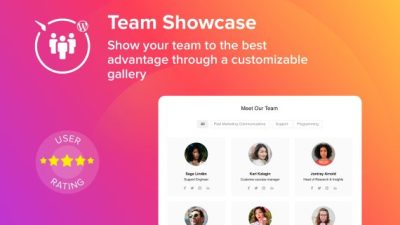 Elfsight Team Showcase破解版下载