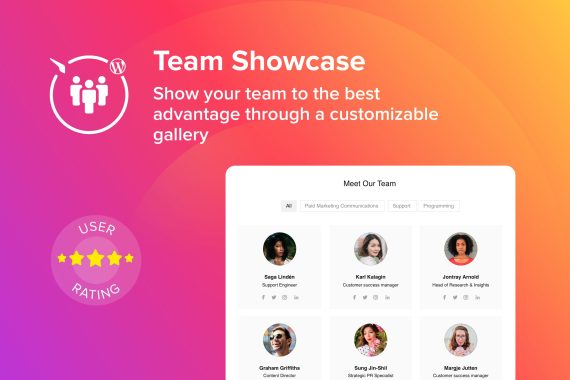 Elfsight Team Showcase破解版下载
