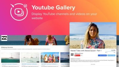 Elfsight YouTube Gallery破解版下载