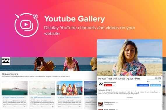 Elfsight YouTube Gallery破解版下载