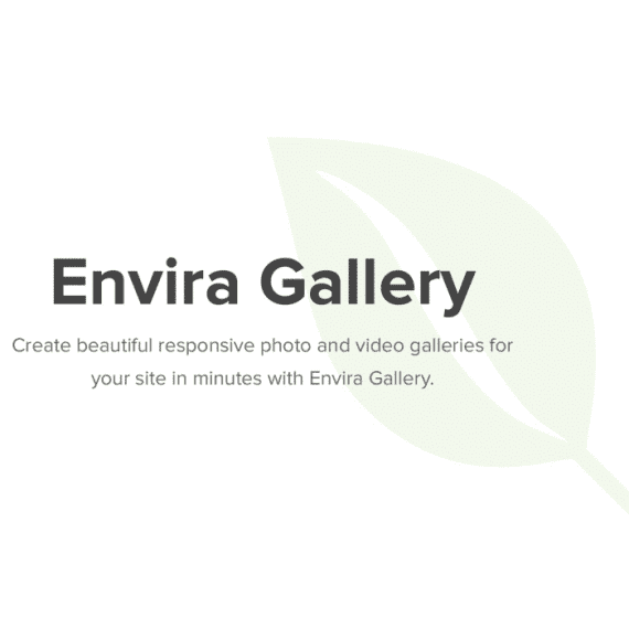 Envira Gallery破解版下载