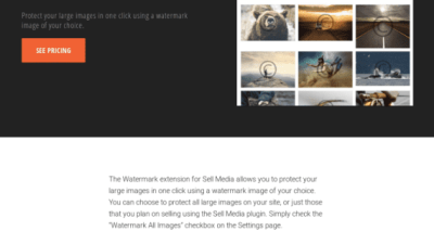 Graph Paper Press Sell Media Watermark Add-On破解版下载