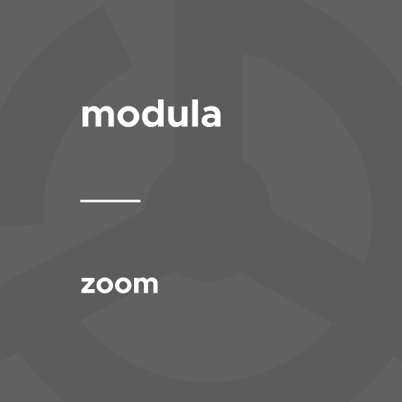 Modula – Zoom破解版下载