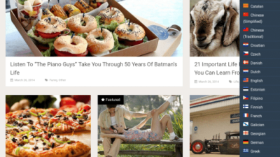 MyThemeShop WP Google Translate破解版下载