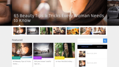 MyThemeShop WP Mega Menu破解版下载