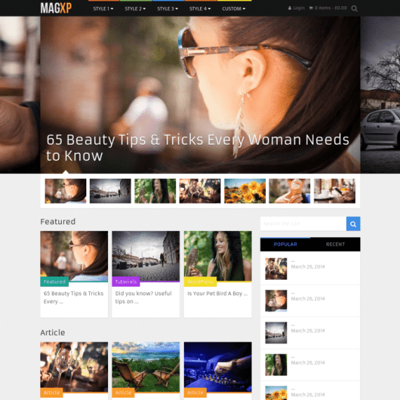 MyThemeShop WP Mega Menu破解版下载