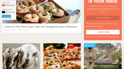 MyThemeShop WP Subscribe Pro破解版下载