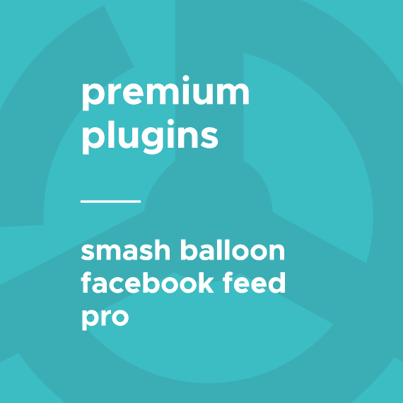 SmashBallon – Custom Facebook Feeds Pro破解版下载