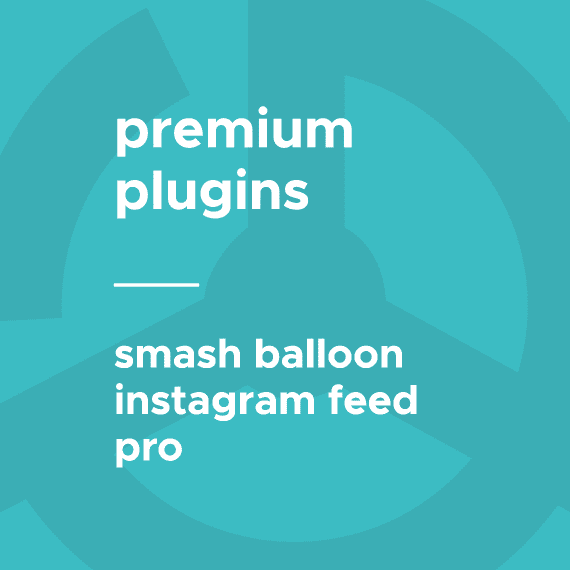 SmashBallon – Custom Instagram Feeds Pro破解版下载