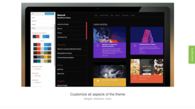 ThemeIsle Metro CustomizR破解版下载