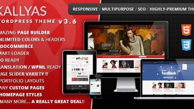 KALLYAS-Responsive-Multi-Purpose-WordPress-Theme-Download-Nulled