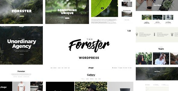 forester_preview.__large_preview.__large_preview