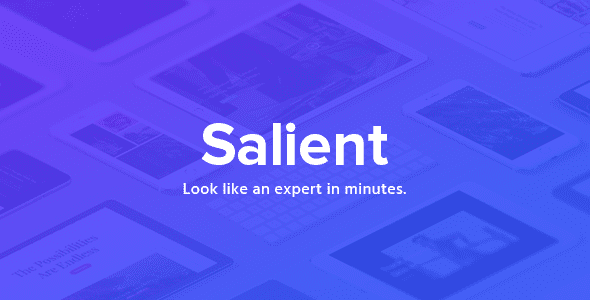 new-theme-preview.__large_preview