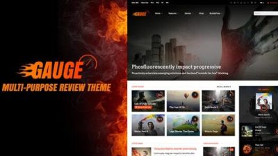 Gauge：多用途评论主题无效