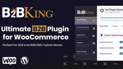 B2BKing-The-Ultimate-WooCommerce-B2B-Wholesale-Plugin-Download-Nulled