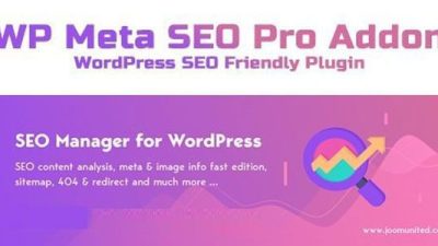 WP Meta SEO Addon 无效 下载