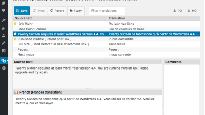 Loco Translate Pro v.2.4.0 – Translate themes and plugins directly in WordPress + Addons