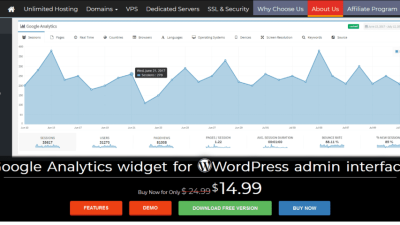 Lara’s Google Analytics Widget Pro for WordPress v3.3.3