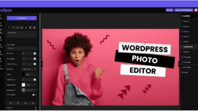 免费下载 Palleon - WordPress 图像编辑器无效
