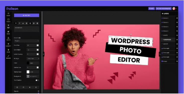 免费下载 Palleon - WordPress 图像编辑器无效