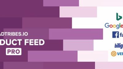 Product Feed PRO for WooCommerce ELITE v11.6.7 + 2.8.5 Download
