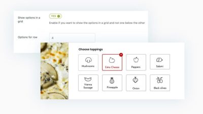 YITH WooCommerce Product Add-Ons & Extra Options破解版插件下载