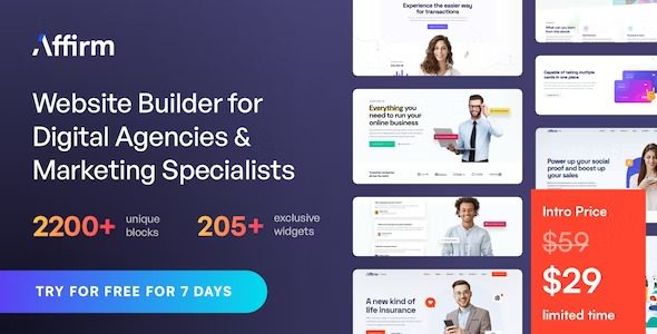 Affirm Nulled Marketing & Digital Agency WordPress 主题免费下载