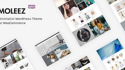 Moleez v2.4.2 Minimalist WordPress Theme for WooCommerce