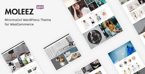 Moleez v2.4.2 Minimalist WordPress Theme for WooCommerce
